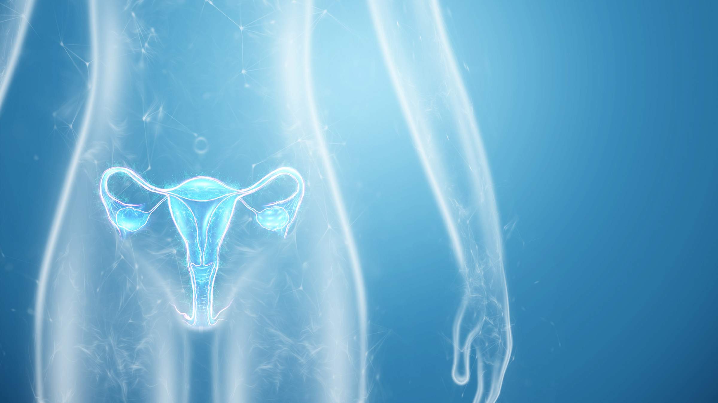 Glowing 3D rendering of reproductive organs inside the outline of a woman's body